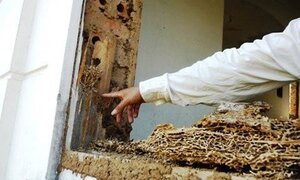 Cận cảnh khu 'biệt thự ma' 14 năm bỏ hoang ở Cửa Lò