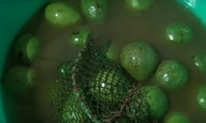 Video: Trái cây tươi bán lề đường ướp hóa chất, chủ không dám ăn