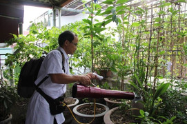 Cảnh báo: Kết quả xét nghiệm máu chẩn đoán nhanh sốt xuất huyết vẫn có thể sai số