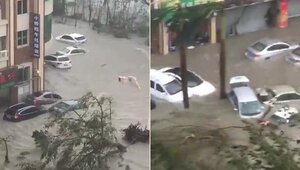 Video: Phố biến thành sông, ô tô trôi lềnh bềnh như đồ chơi trong biển nước