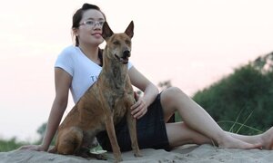 Trang trại chó Phú Quốc tiền tỷ của cô gái trẻ
