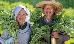 12 thói quen giúp bạn kéo dài tuổi thọ và sống tới 100 tuổi