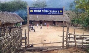 Bàng hoàng 3 học sinh tiểu học ăn lá ngón tự tử sau khai giảng