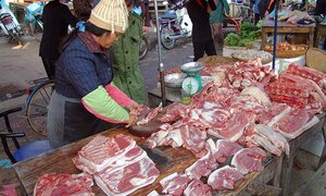 Bão số 10 đổ bộ vào đất liền: Thực phẩm rục rịch 'nhảy' giá