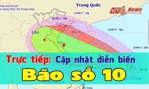 Video trực tiếp bão số 10: Hà Tĩnh - Quảng Bình tan hoang, 6 người thiệt mạng