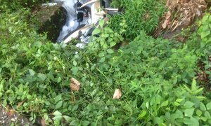 Xe khách lấn làn xe máy trên đèo Bảo Lộc, 2 vợ chồng rơi xuống vực sâu