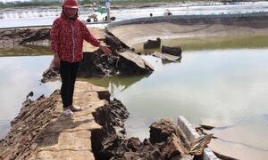 Nhiều tỷ phú nuôi tôm ở Nghệ An thành 'chúa chổm' sau bão số 10