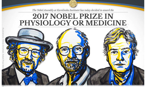 Vì sao người Mỹ thống trị Nobel kinh tế?