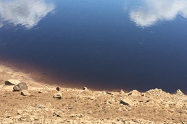 Khu công nghiệp xả thải 'bức tử' dòng sông Ô Lâu khiến lúa không thể trổ bông