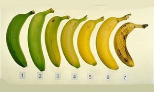 Tác dụng không ngờ của chuối chín không phải ai cũng biết