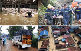 Doanh nhân Thanh Hóa trao hơn 1.000 suất quà cho người dân vùng lũ