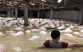 Doanh nhân Thanh Hóa trao hơn 1.000 suất quà cho người dân vùng lũ