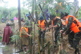 Doanh nhân Thanh Hóa trao hơn 1.000 suất quà cho người dân vùng lũ