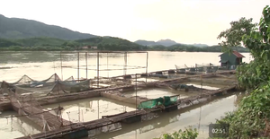 Doanh nhân Thanh Hóa trao hơn 1.000 suất quà cho người dân vùng lũ