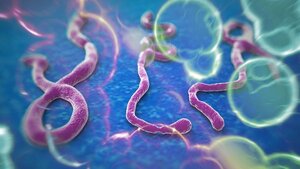 Điểm mặt 10 loại virus nguy hiểm nhất thế giới