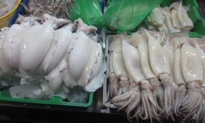Cảnh báo: Mực nhiễm độc, giá siêu rẻ tràn lan ngoài chợ