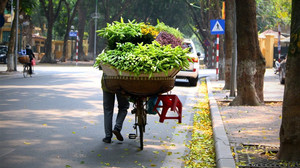 Dự báo thời tiết ngày 20/10: Bắc Bộ nắng ráo, Nam Bộ tiếp tục mưa lớn
