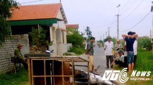 Xe máy lôi chở bò bị lật, đè chết tài xế ở Nghệ An