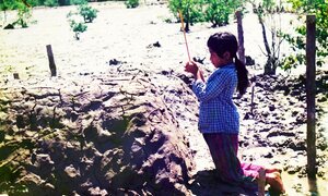 Cơn bão 20 năm trước khiến 3.000 người chết và mất tích khủng khiếp thế nào?