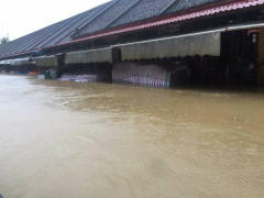 Ảnh: Nhà ngập đến nóc, dân Hội An ngán ngẩm ngồi trên cửa sổ nhìn mưa