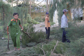 Ảnh: Khánh Hòa tan hoang sau bão số 12, người dân thức trắng đêm dọn dẹp