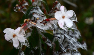 Miền Bắc tiếp tục rét đậm, có khả năng xuất hiện băng giá