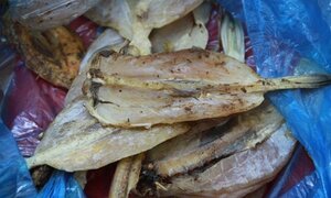 Cẩn trọng nọc độc cá nóc chết người khi ăn hải sản, cá biển khô
