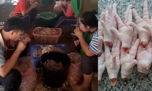 Rút xương chân gà bằng miệng khiến người xem sợ chết khiếp