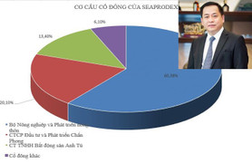 Vì sao Công ty liên quan Vũ 'nhôm' bán hết cổ phần tại Seaprodex?