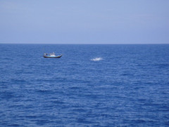 Nam thanh niên đi đánh cá rơi xuống biển mất tích hơn 10 ngày