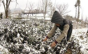 Thời tiết hôm nay 9/1: Miền Bắc rét tê tái, có nơi 3°C