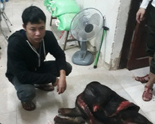 Bắt 2 kẻ ngang nhiên làm thịt sơn dương trong rừng Phong Nha - Kẻ Bàng