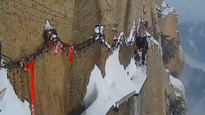 Video: Mải mê selfie, khách du lịch Trung Quốc làm sập cầu