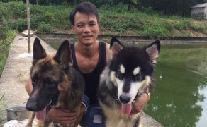 Ông chủ phòng tập Gym bỏ chục triệu đồng mỗi tháng cứu trợ chó mèo