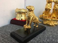 Đại gia Việt chơi ngông, chi cả trăm triệu đồng mua linh khuyển mạ vàng cầu may