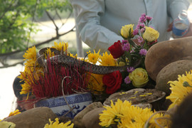 Thả 'rắn thần' trên ngôi mộ vô danh ở Quảng Bình về tự nhiên