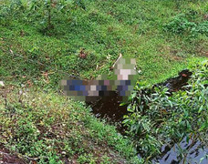 Phát hiện 2 thi thể đầy máu dưới mương nước ở Huế