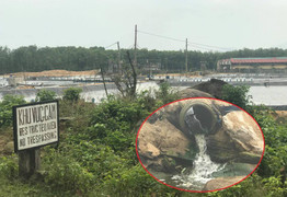 Hồ nuôi tôm không phép xuất hiện trên đất quốc phòng, xả thải thẳng ra biển