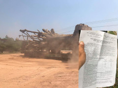 Vận chuyển cây đa khổng lồ rời Huế: Lại dùng giấy phép chở máy đi chở cây?