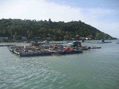 Kêu gọi đối thoại công khai với người đứng đầu Hội Thánh Đức Chúa Trời Mẹ