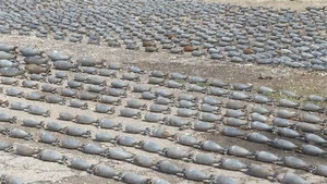 Video: Quân đội Syria thu giữ kho đạn khổng lồ của phiến quân tại Douma