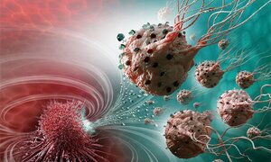 Tìm ra 'thần dược' giúp cơ thể tiêu diệt tế bào ung thư