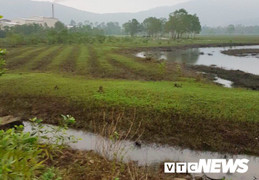 Cán bộ huyện chiếm đất của dân chia cho người nhà: Chủ tịch UBND huyện lên tiếng