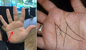 Thông tin bất ngờ về nguồn gốc những đường chỉ tay của con người