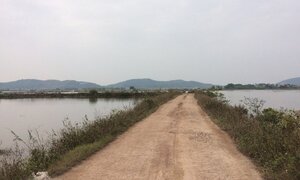 Người phụ nữ bán cá bị sát hại ở Bắc Giang: Nghi phạm là bạn thân của nạn nhân