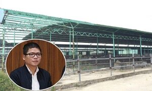 Vì sao con trai ông Trần Bắc Hà bị khởi tố, bắt tạm giam?