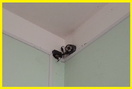 Sau bê bối nâng điểm, Sơn La đưa ra giải pháp nào chống gian lận thi cử?