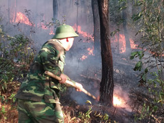 Cháy rừng trên diện rộng, Huế di dời khẩn cấp nhiều hộ dân