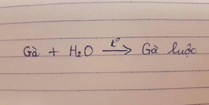 Cười ra nước mắt với phương trình Hoá học có một không hai của học sinh