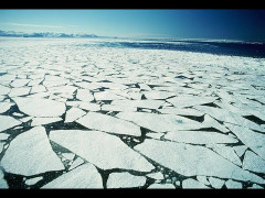 Điều gì xảy ra nếu toàn bộ băng trên Trái Đất tan chảy?